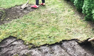 Снятие дерна старого газона в Шарыпово – от 517 руб. | 2Землекопа-Шрп